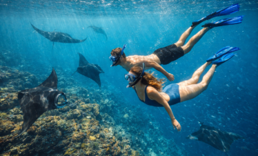 snorkeling nusa penida