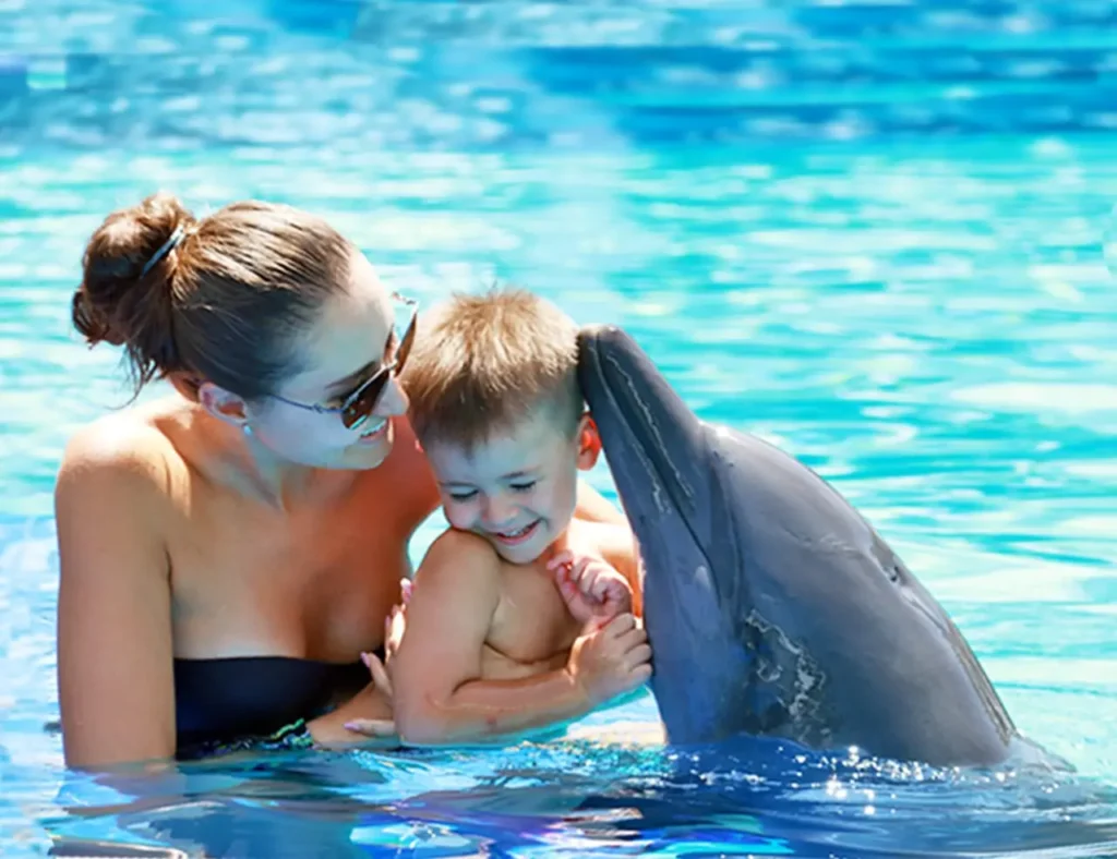 swimming with dolphin