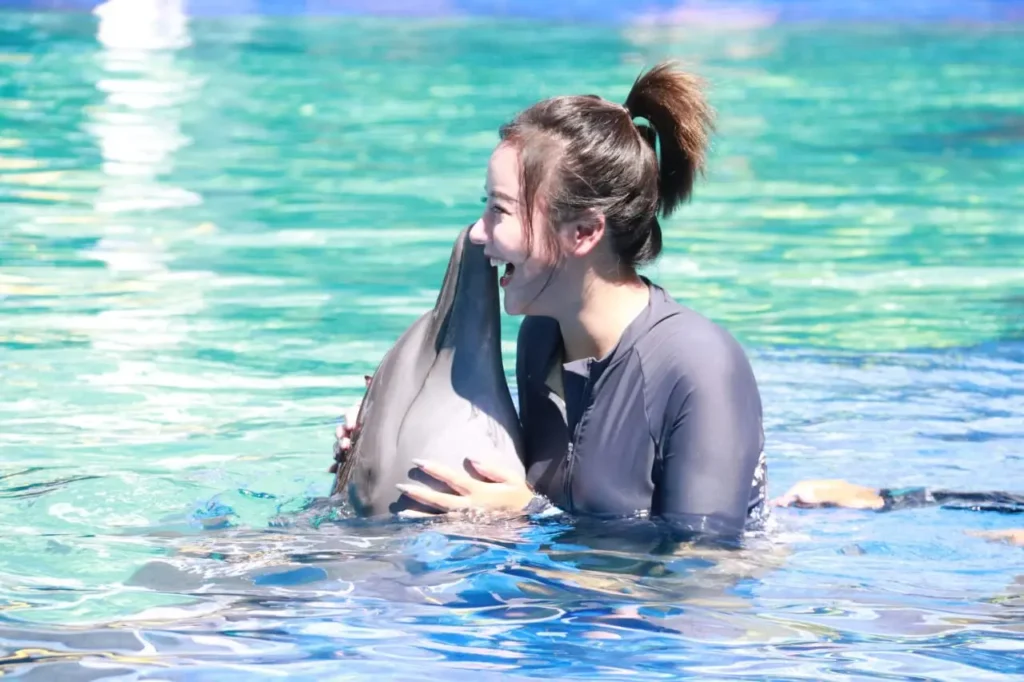 swimming with dolphin