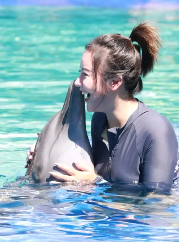 swimming with dolphin