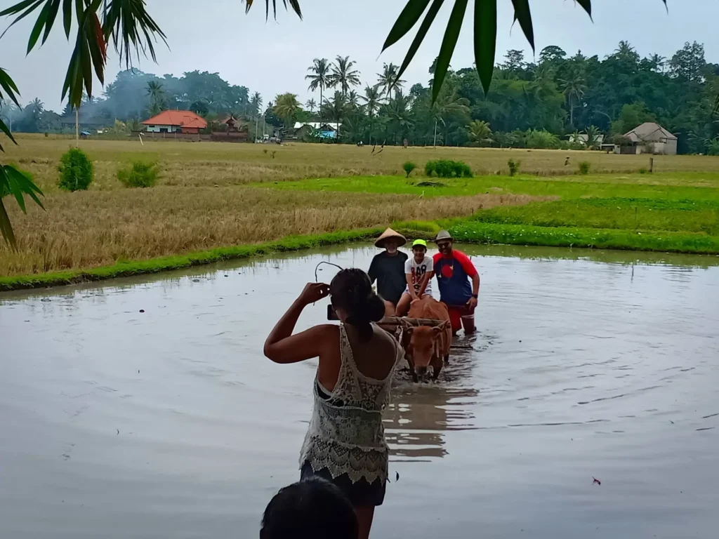 Taman Anyar activities